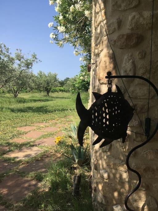 Gite Des Amis Domaine De Mas Caron Caromb Esterno foto