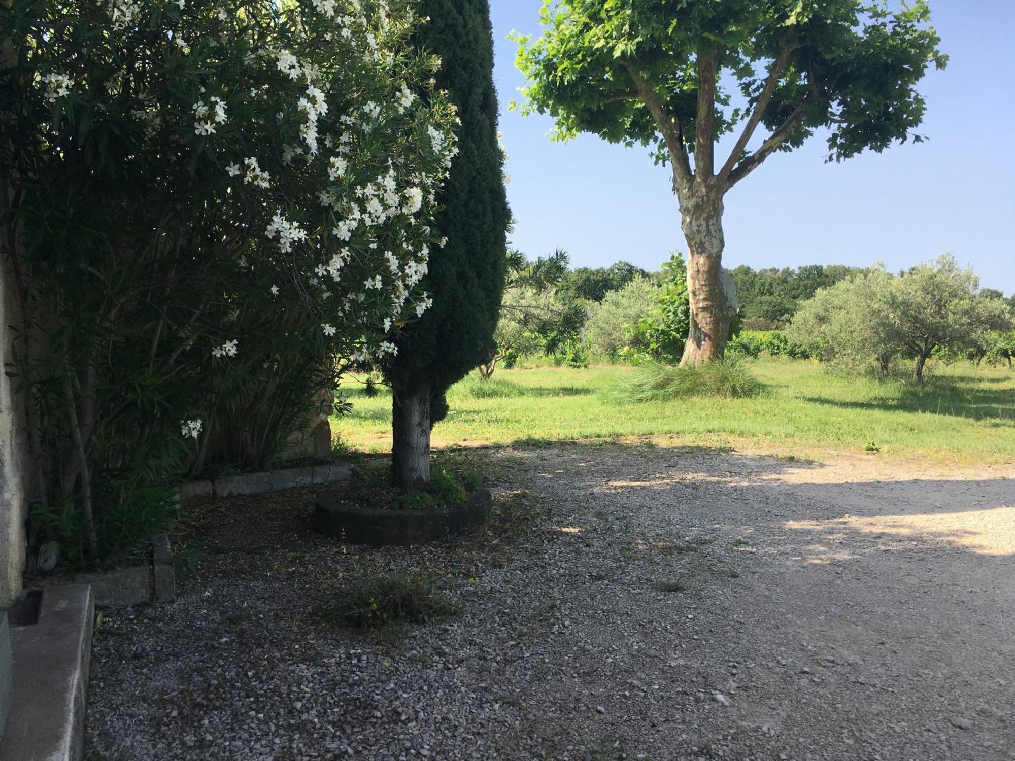 Gite Des Amis Domaine De Mas Caron Caromb Esterno foto
